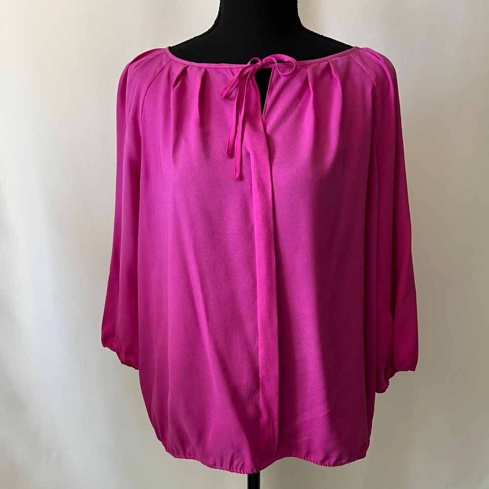 Ann Taylor Hot Pink Blouse Size L Petite